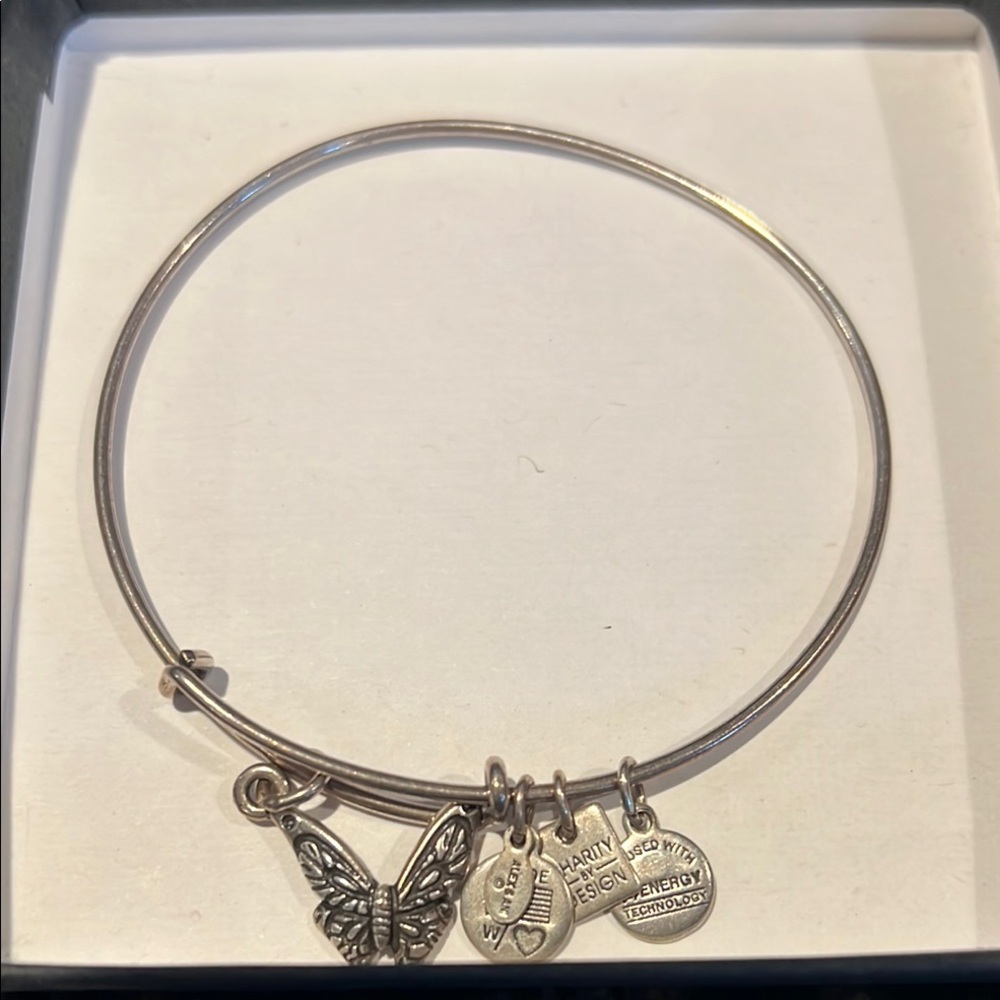 Alex and Ani Silver Charm Bangle Bracelet